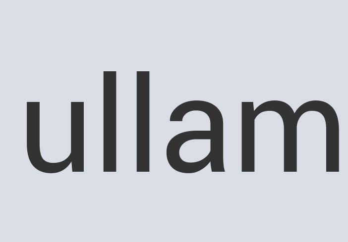 Aerodynamic Plastic Zillan