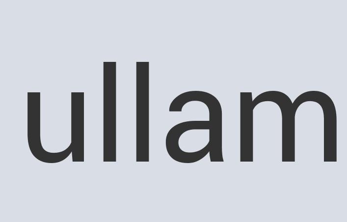 Aerodynamic Aluminum Walla Wild